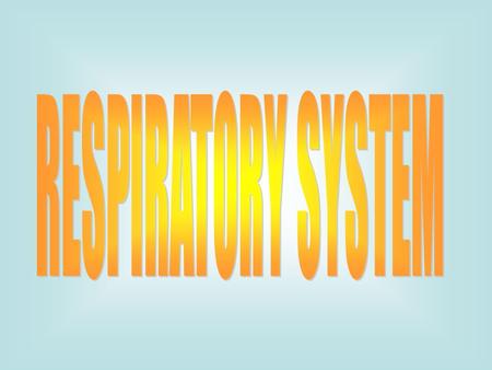 Respiratory system. Upper respiratory system 1. Nose, pharynx, and associated structures Lower respiratory system 1. Larynx, trachea, bronchi, lungs Conducting.