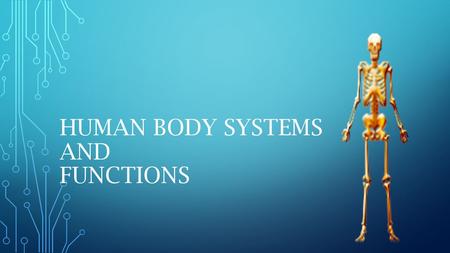 Human Body Systems and Functions