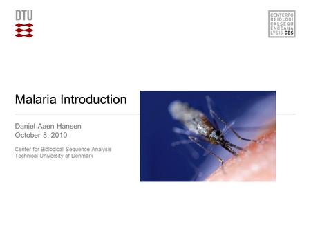 Malaria Introduction Daniel Aaen Hansen October 8, 2010 Center for Biological Sequence Analysis Technical University of Denmark.