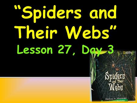 If you could talk with a spider, what would you say to it? What would you talk about? What questions would you ask?