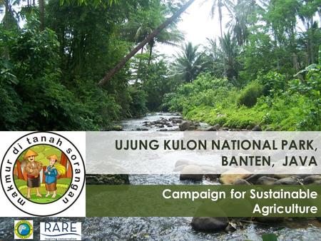 UJUNG KULON NATIONAL PARK, BANTEN, JAVA Campaign for Sustainable Agriculture.