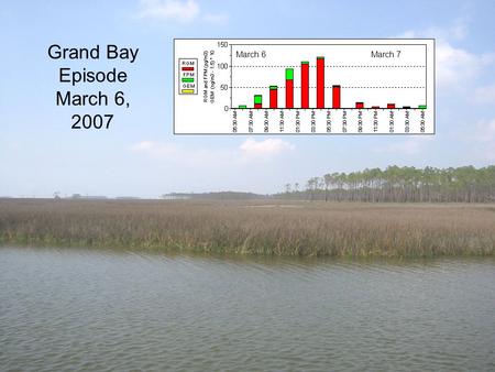 Grand Bay Episode March 6, 2007 March 6March 7. March 6.