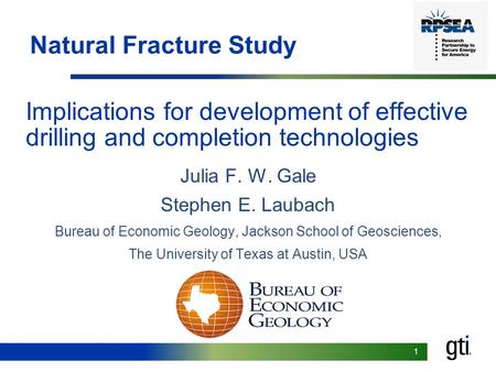 Natural Fracture Study