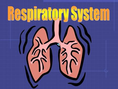 Objective 1 See diagram Pathway: Nostril—sinuses— pharynx—larynx— trachea—bronchi— bronchioles—bronchiole tube--alveoli.