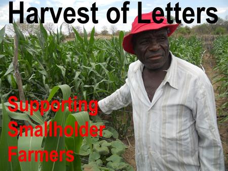 Harvest of Letters Supporting Smallholder Farmers.