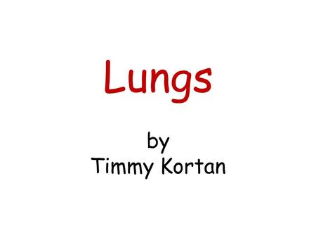 Lungs by Timmy Kortan. Your lungs make up one of the largest organs in your body.