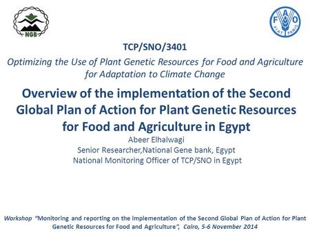 Overview of the implementation of the Second Global Plan of Action for Plant Genetic Resources for Food and Agriculture in Egypt Abeer Elhalwagi Senior.