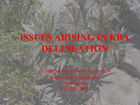 ISSUES ARISING IN KBA DELINEATION Centre for Biodiversity Conservation Conservation International Madagascar 26 th July 2006.