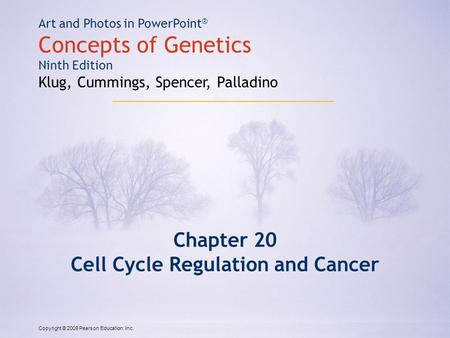 Copyright © 2009 Pearson Education, Inc. Art and Photos in PowerPoint ® Concepts of Genetics Ninth Edition Klug, Cummings, Spencer, Palladino Chapter 20.