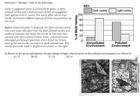 Dark-colored moths camouflaged (to hide) from predators in the polluted environment.