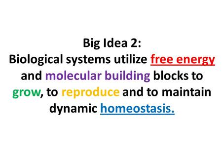 Big Idea 2: Biological systems utilize free energy and molecular building blocks to grow, to reproduce and to maintain dynamic homeostasis.