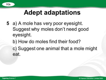 Adept adaptations 5a) A mole has very poor eyesight. Suggest why moles don’t need good eyesight. b) How do moles find their food? c) Suggest one animal.