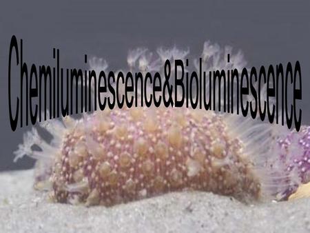 Chemiluminescence&Bioluminescence