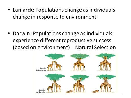 Lamarck: Populations change as individuals change in response to environment Darwin: Populations change as individuals experience different reproductive.