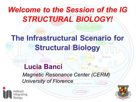 Welcome to the Session of the IG STRUCTURAL BIOLOGY!