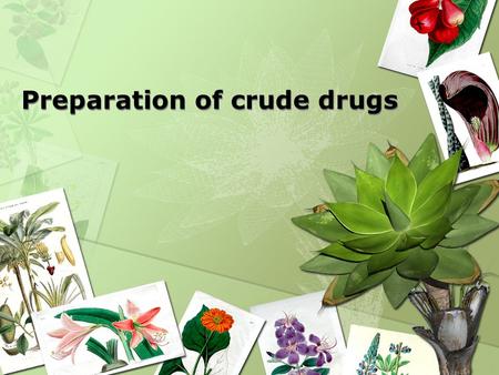 Preparation of crude drugs