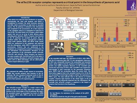 Introduction When plants are eaten by insect herbivores or wounded mechanically, the fatty acid linolenic acid (18:3) is metabolized to produce the plant.