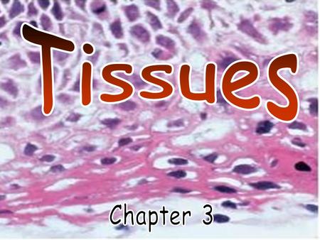 A patient presents with severe digestive abnormalities. Upon initial examination, CBC ruled out infection and X-rays revealed no bowel obstructions. Doctors.