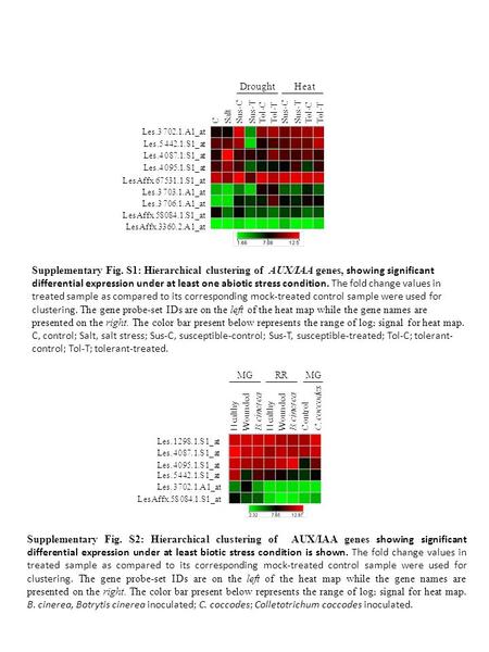 Supplementary Fig. S1: Hierarchical clustering of AUX/IAA genes, showing significant differential expression under at least one abiotic stress condition.