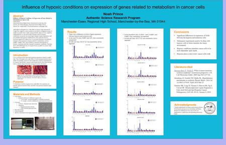 Noah Prince Authentic Science Research Program Manchester-Essex Regional High School, Manchester-by-the-Sea, MA 01944 Influence of hypoxic conditions on.