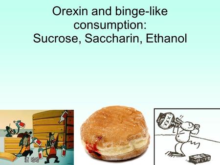 Orexin and binge-like consumption: Sucrose, Saccharin, Ethanol ANDY DEEMER.