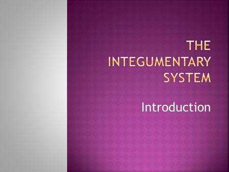 Introduction.  Identify six functions of the skin, the two main regions and the purpose of specific skin cells  Explain skin and hair coloring describing.