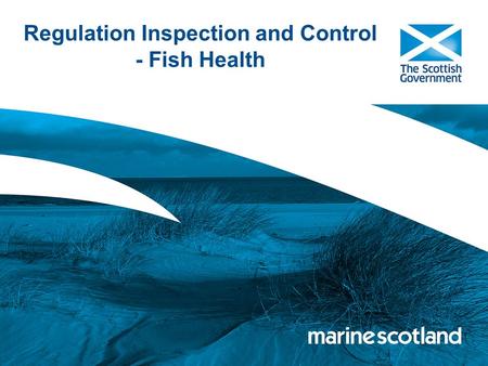 Regulation Inspection and Control - Fish Health. Scottish Aquaculture Industry - Background Main Species Farmed Atlantic salmon Rainbow trout Blue mussel.