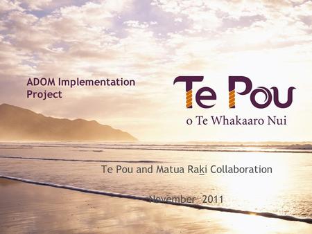 ADOM Implementation Project Te Pou and Matua Raki Collaboration November 2011.