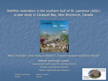 Shellfish restoration in the southern Gulf of St. Lawrence (sGSL): a case study in Caraquet Bay, New Brunswick, Canada Shellfish restoration in the southern.