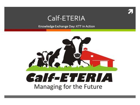  Calf-ETERIA Knowledge Exchange Day: KTT in Action.