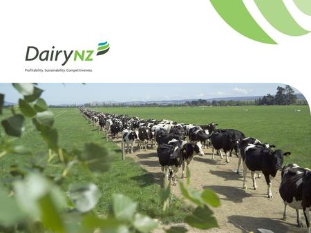 New Zealand’s dairy industry Hon. John Luxton Chairman DairyNZ.