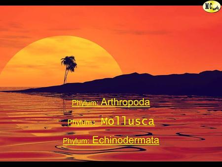 Prepared by T. Madhavan & K. Chandrasekaran, Lecturers in Zoology, Directorate of School Education., Pondicherry. Phylum: Arthropoda Phylum : Mollusca.