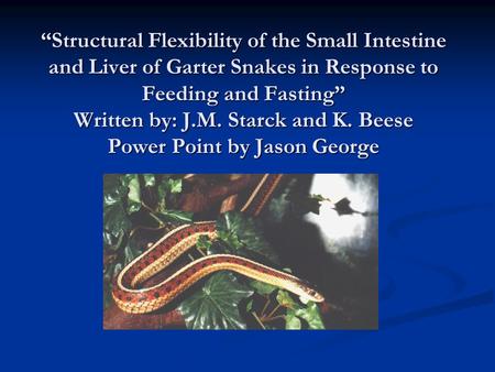 “Structural Flexibility of the Small Intestine and Liver of Garter Snakes in Response to Feeding and Fasting” Written by: J.M. Starck and K. Beese Power.