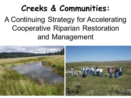 Creeks & Communities: A Continuing Strategy for Accelerating Cooperative Riparian Restoration and Management.