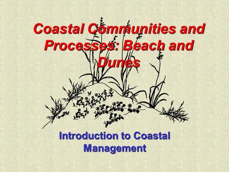 Coastal Communities and Processes: Beach and Dunes Introduction to Coastal Management.