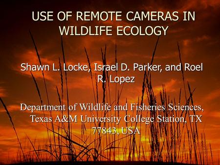 USE OF REMOTE CAMERAS IN WILDLIFE ECOLOGY