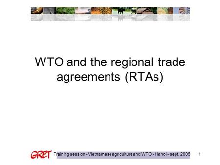 Training session - Vietnamese agriculture and WTO - Hanoi - sept. 20051 WTO and the regional trade agreements (RTAs)