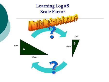 Learning Log #8 Scale Factor A B A 20m 64m 5m 256m A.