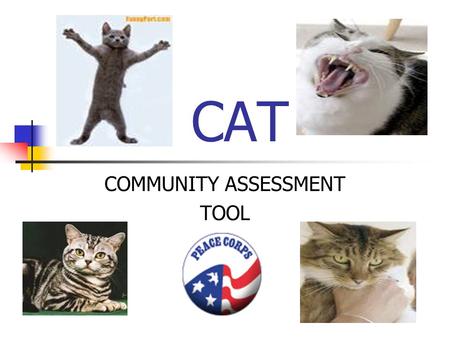 CAT COMMUNITY ASSESSMENT TOOL. I WISH I HAD SOME SORT OF TOOL TO HELP ME UNDERSTAND THE NEEDS AND RESOURCES OF MY COMMUNITY AS WELL AS OPPORTUNITIES FOR.