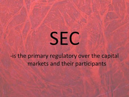 SEC -is the primary regulatory over the capital markets and their participants.