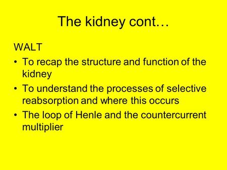 The kidney cont… WALT To recap the structure and function of the kidney To understand the processes of selective reabsorption and where this occurs The.