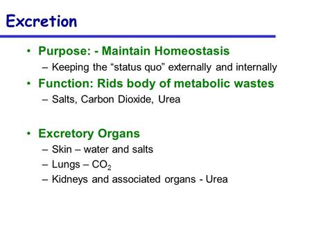 Excretion Purpose: - Maintain Homeostasis –Keeping the “status quo” externally and internally Function: Rids body of metabolic wastes –Salts, Carbon Dioxide,