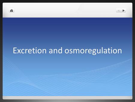 Excretion and osmoregulation. Universal needs All cells need aqueous environment Problems: Balance water and solutes= osmoregulation Nitrogenous waste.