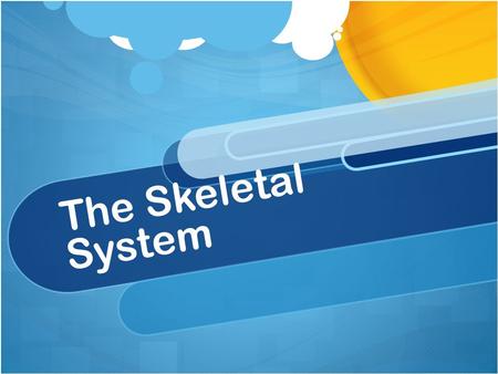 The Skeletal System. Bones of the Body Cranium:Skull Clavicle:Collar Bone Patella:Knee Bone Phalanges:Fingers Vertebrae:Spine Bones Patella:Knee Femur:Upper.