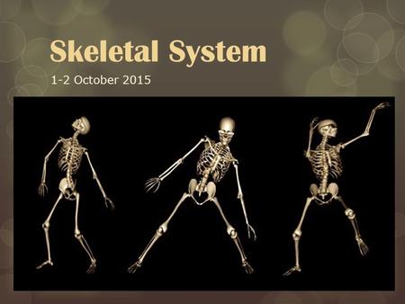 Skeletal System 1-2 October 2015.