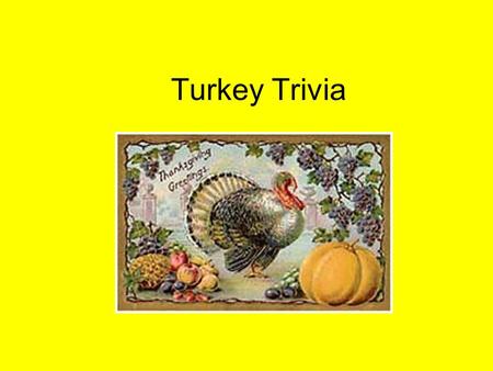 Turkey Trivia The American Indian name for turkey was: A. Firkee B. Tumtum C. Flybird.