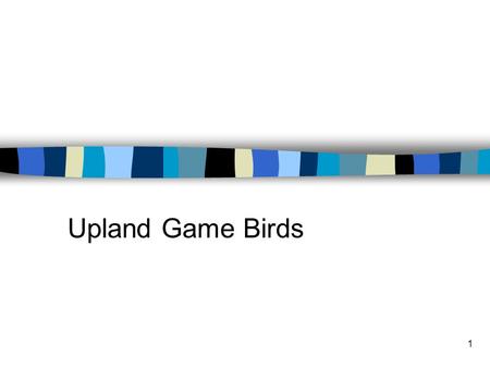 1 Upland Game Birds. 2 Minnesota’s upland game birds include ruffed, spruce, and sharp-tailed grouse, ring-necked pheasant, turkey, woodcock, and the.