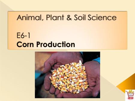  I. Corn is one of the most valuable cereal grain (a seed of the cereal grain plant) crops grown in the United States and the world. There are six common.