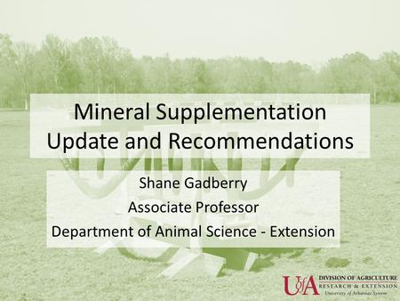 Mineral Supplementation Update and Recommendations Shane Gadberry Associate Professor Department of Animal Science - Extension.