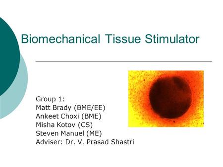 Biomechanical Tissue Stimulator Group 1: Matt Brady (BME/EE) Ankeet Choxi (BME) Misha Kotov (CS) Steven Manuel (ME) Adviser: Dr. V. Prasad Shastri.